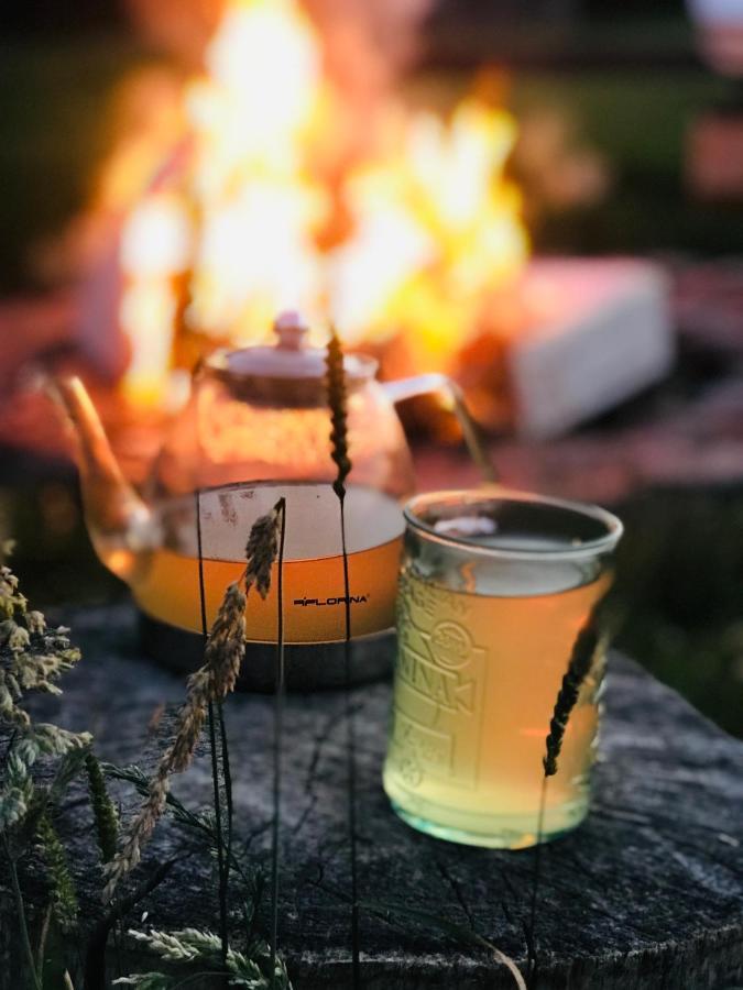 Zagroda W Puszczy Białowieża エクステリア 写真